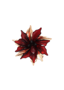 LF2603066_033 1 silueteado