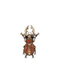BROWN-MULTICOLOURED