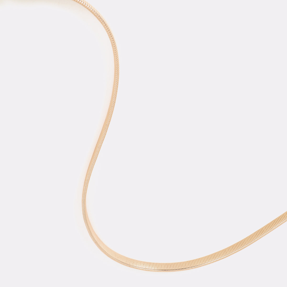 LF2606010_0M2 5 2048x2048