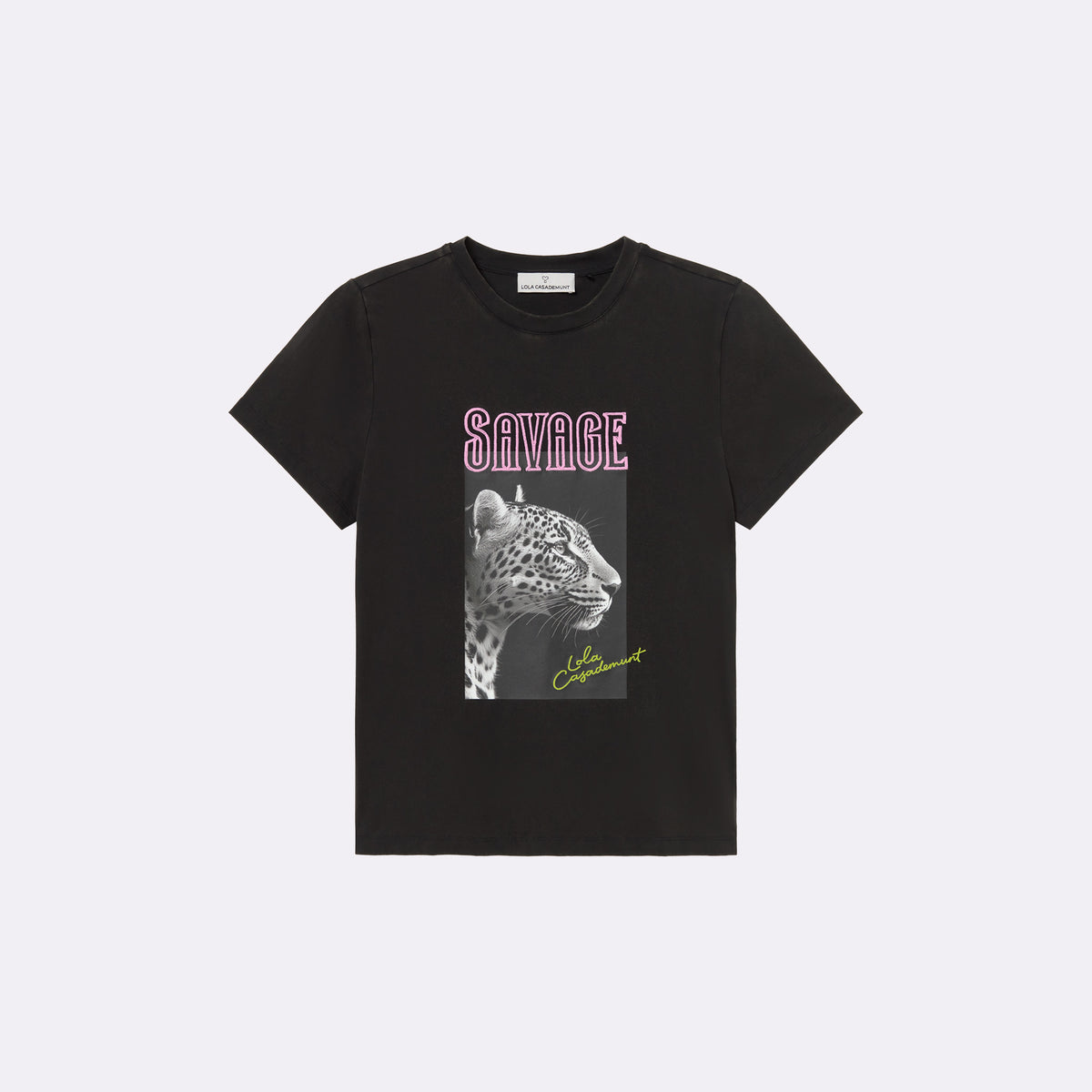 T-shirt gris col V sauvage