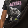 LF2615049_011 3 2048x2048